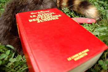 le manuel géant des castors juniors, édition originale