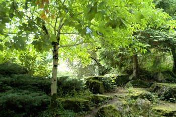 la verdure du jardin anglais de vesoul