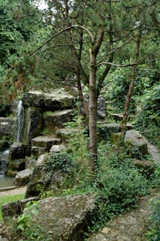 verdure au jardin anglais de vesoul
