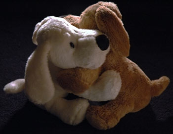 les peluches aussi ont besoin de calins