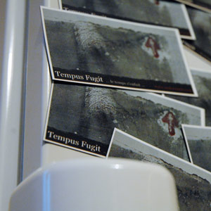 les magnet's tempus fugit