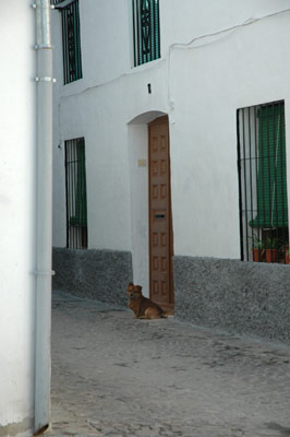 pendant la sieste dans les rues d'espagne
