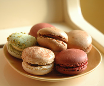 gros plan sur de fascinants macarons