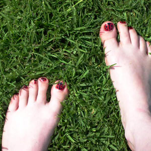 les coccinelles de pied