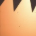 Aigu