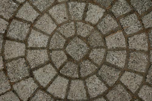 Paves