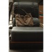 fauteuil 04