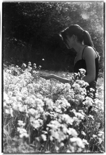 Prairie