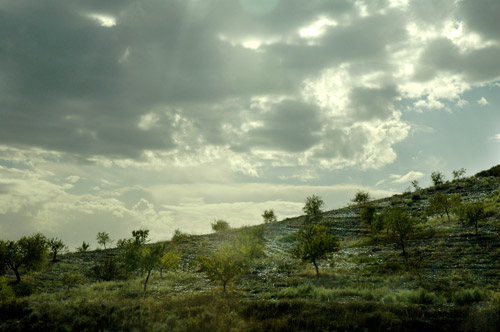 Crepuscule