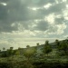 Crepuscule