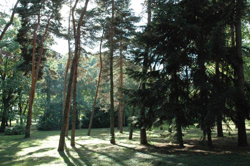 Parilly Sous-bois
