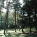 Parilly Sous-bois
