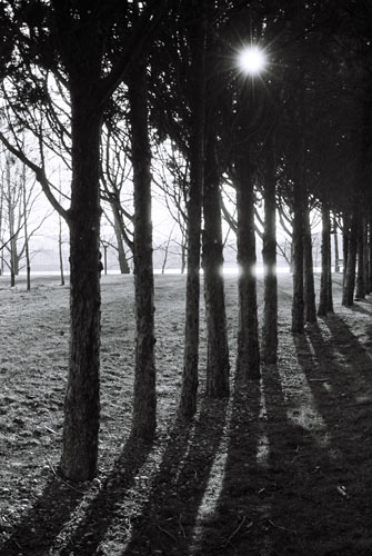 Soleil de Gerland