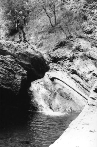 Cascade