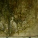 Arborescence